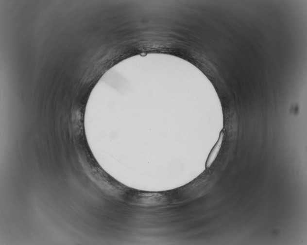 X0000115480087200912181218