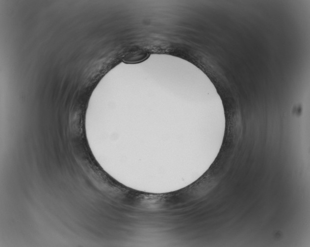 X0000115480088200912181218