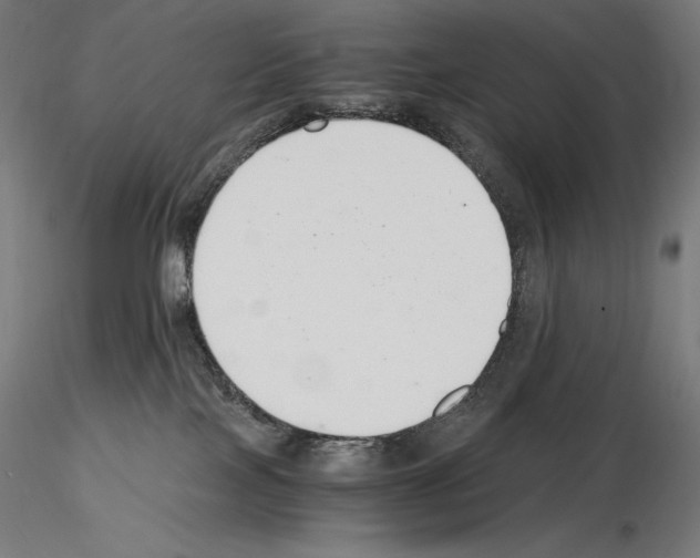 X0000115480089200912181218