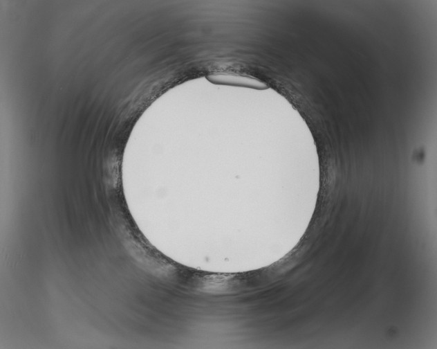 X0000115480090200912181218