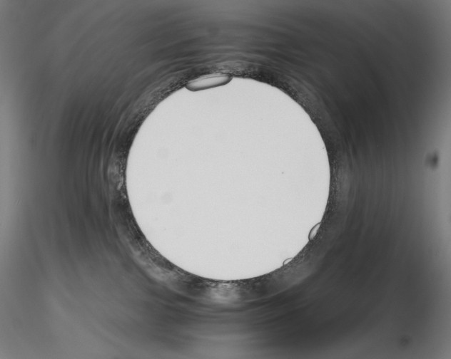 X0000115480091200912181219