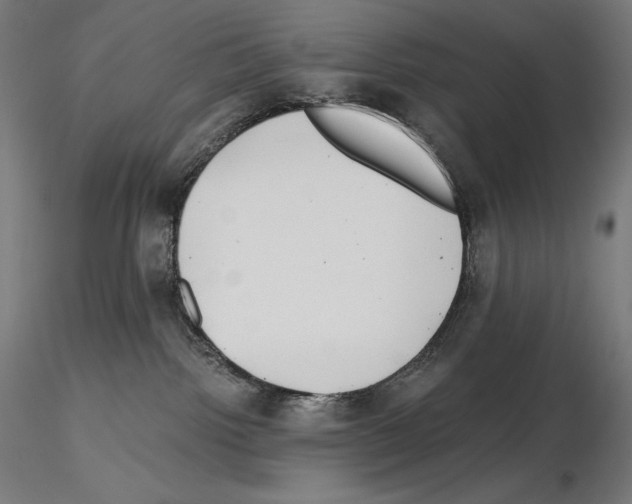 X0000115480092200912181219