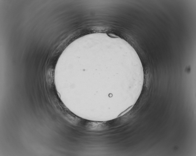 X0000115480093200912181219
