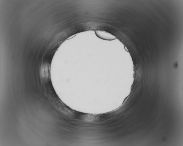 X0000115480094200912181219