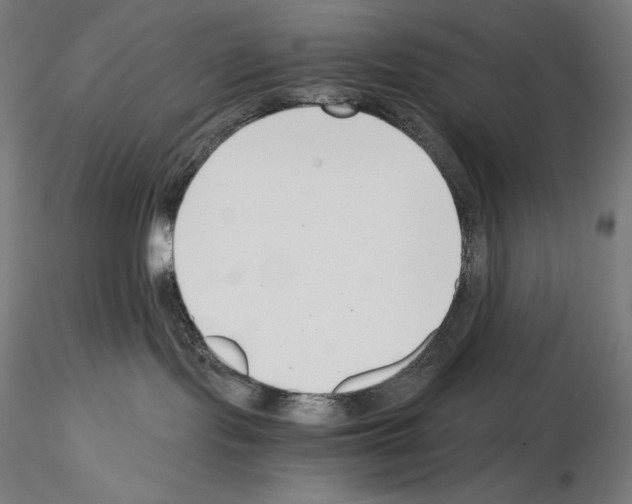 X0000115480095200912181219