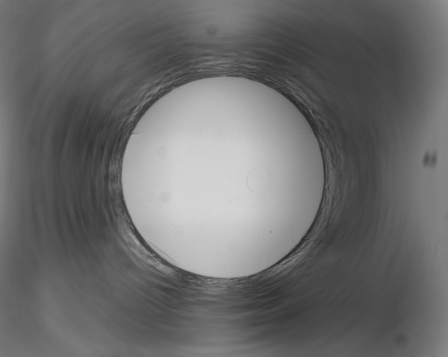 X0000115480096200912181219