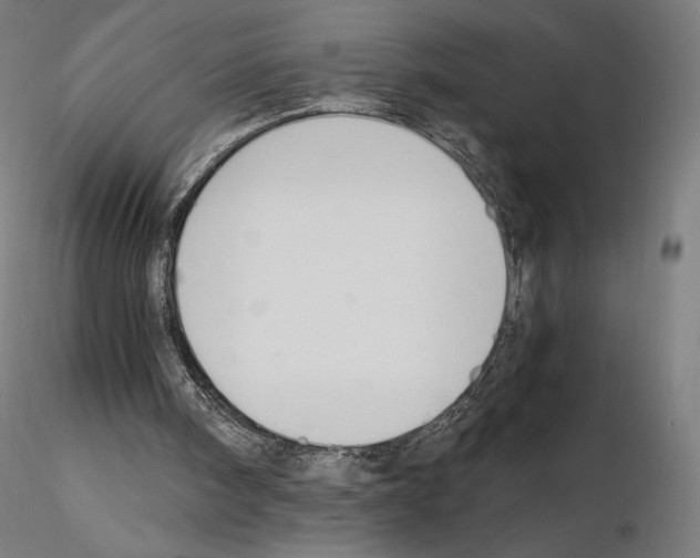 X0000115480098200912181218