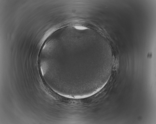 X0000115480099200912181218