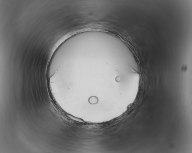 X0000115480100200912181218