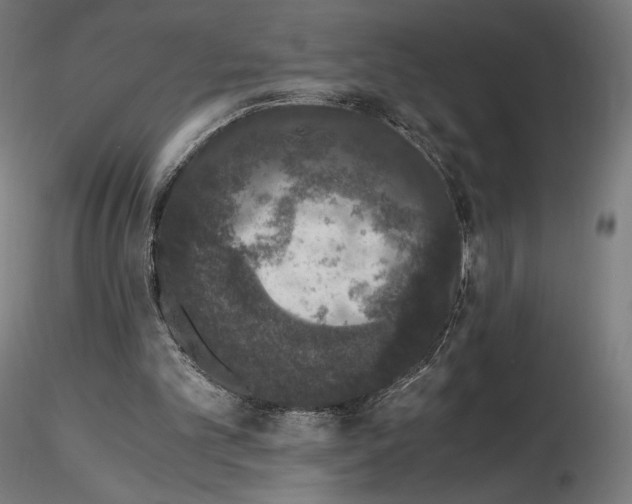X0000115480101200912181218