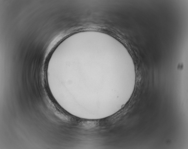 X0000115480102200912181218