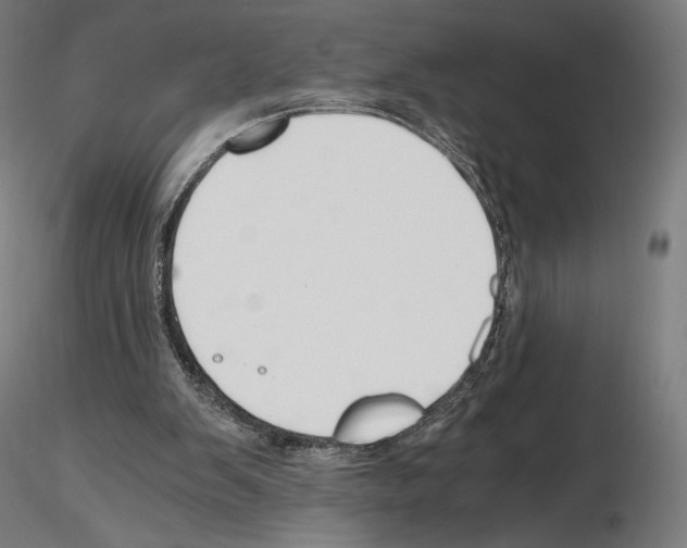 X0000115480103200912181218
