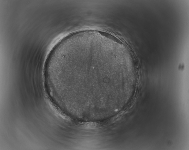 X0000115480104200912181218