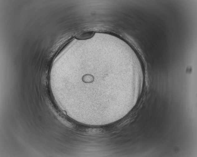 X0000115480105200912181218