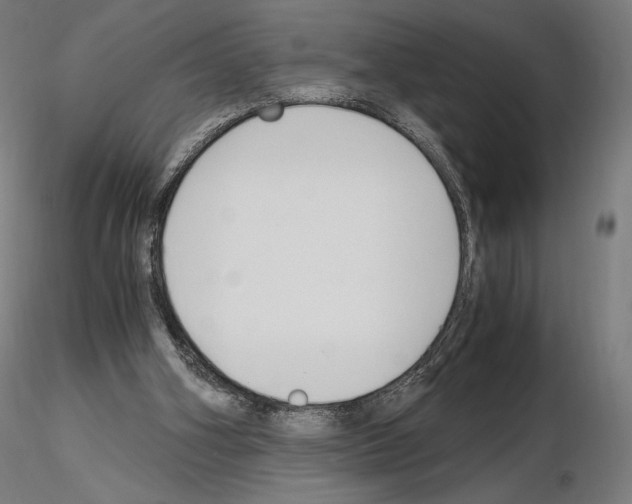 X0000115480106200912181218