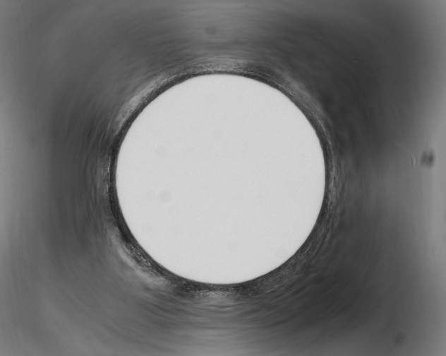 X0000115480107200912181218