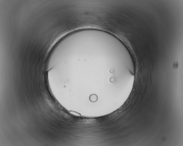 X0000115480108200912181218