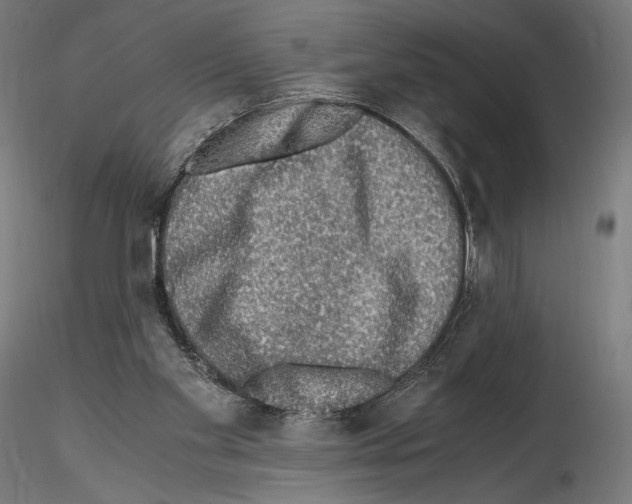 X0000115480109200912181218