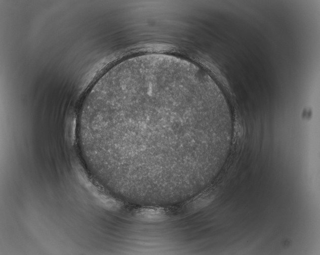 X0000115480110200912181218