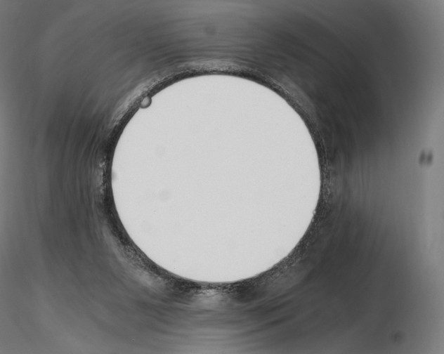X0000115480111200912181218