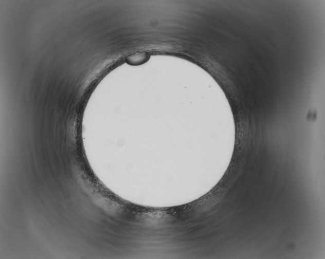 X0000115480112200912181218