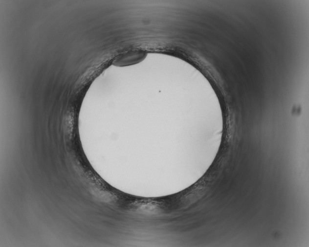 X0000115480113200912181218