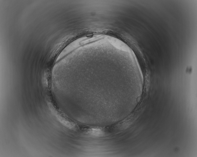 X0000115480114200912181218