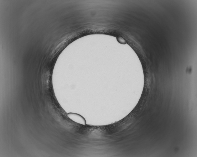 X0000115480115200912181217