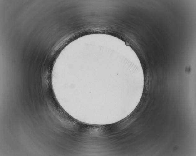 X0000115480116200912181217