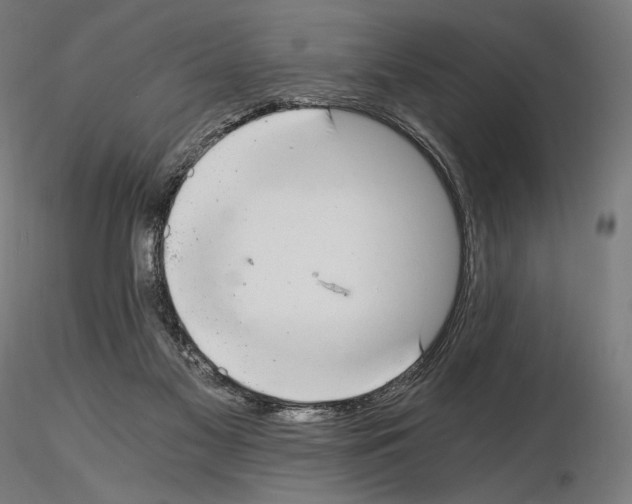 X0000115480117200912181217