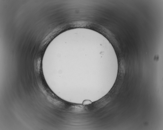 X0000115480118200912181217