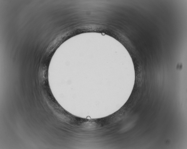 X0000115480119200912181217