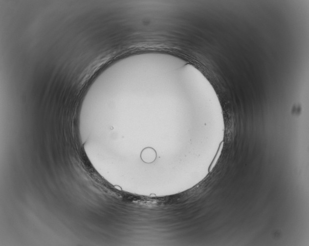 X0000115480120200912181217