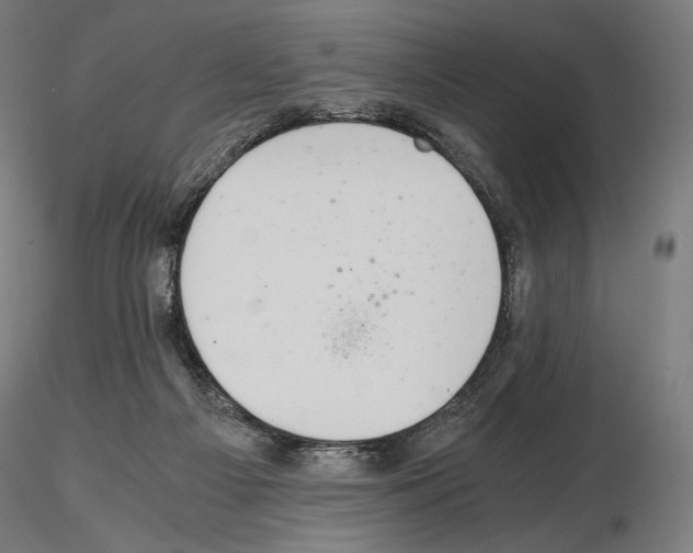 X0000115480121200912181217
