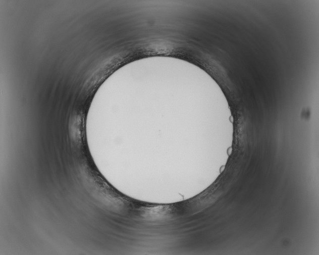 X0000115480122200912181217