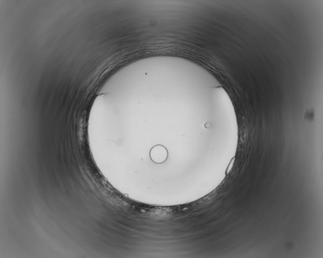 X0000115480124200912181217
