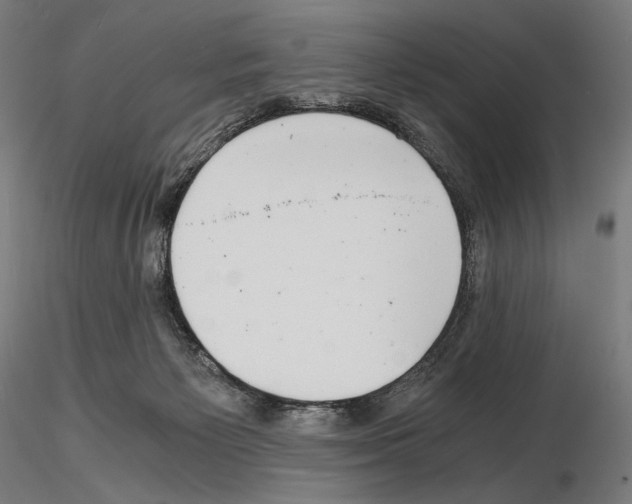 X0000115480125200912181217