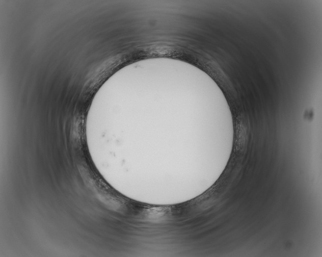 X0000115480126200912181217
