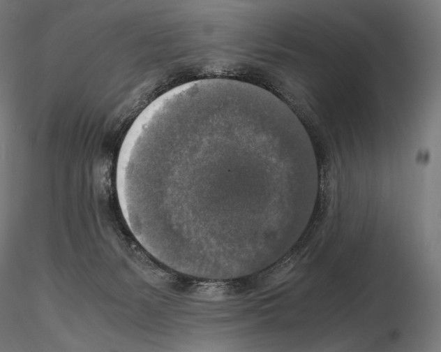 X0000115480127200912181217