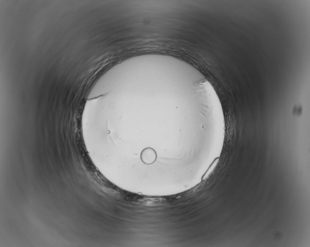 X0000115480128200912181217