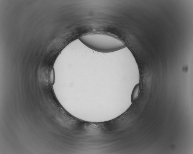 X0000115480129200912181217
