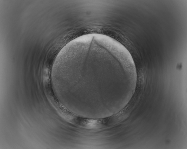 X0000115480130200912181217