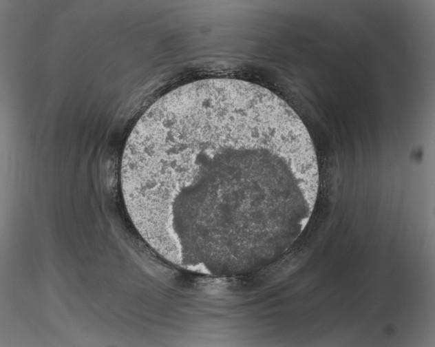 X0000115480131200912181217