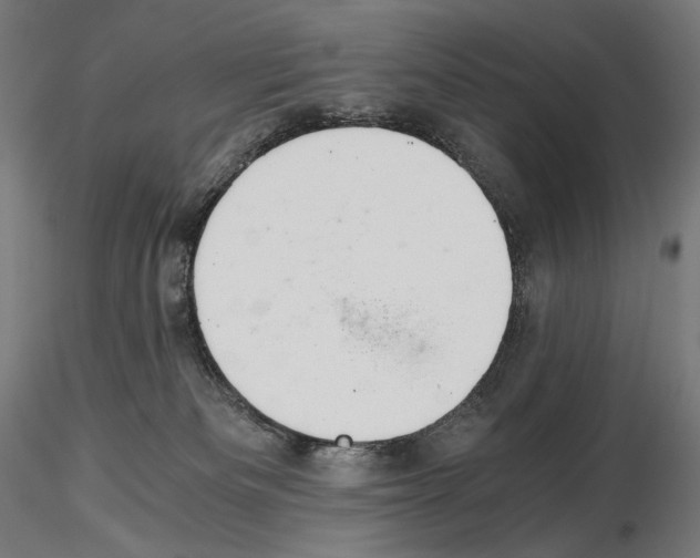 X0000115480133200912181217