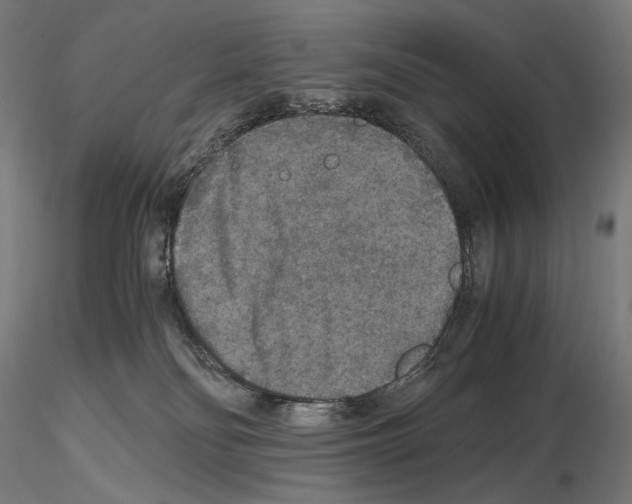 X0000115480134200912181217