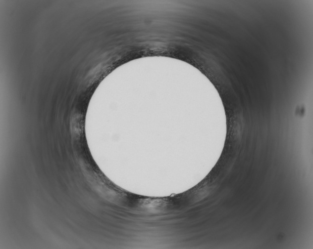X0000115480135200912181217