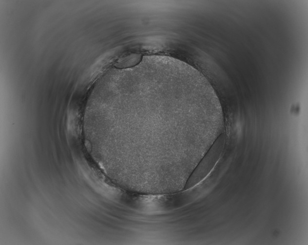X0000115480136200912181217