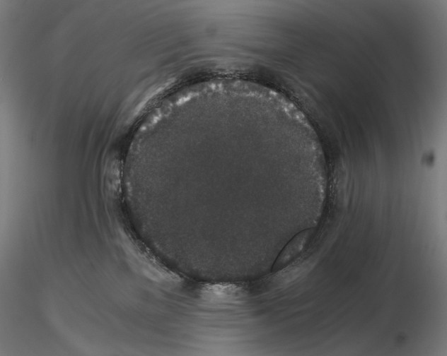 X0000115480137200912181217