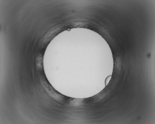 X0000115480138200912181217