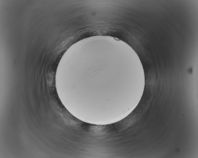 X0000115480139200912181217